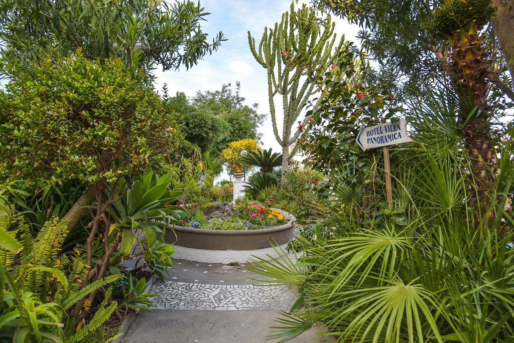 Villa Panoramica - Ischia Ponte Exterior foto